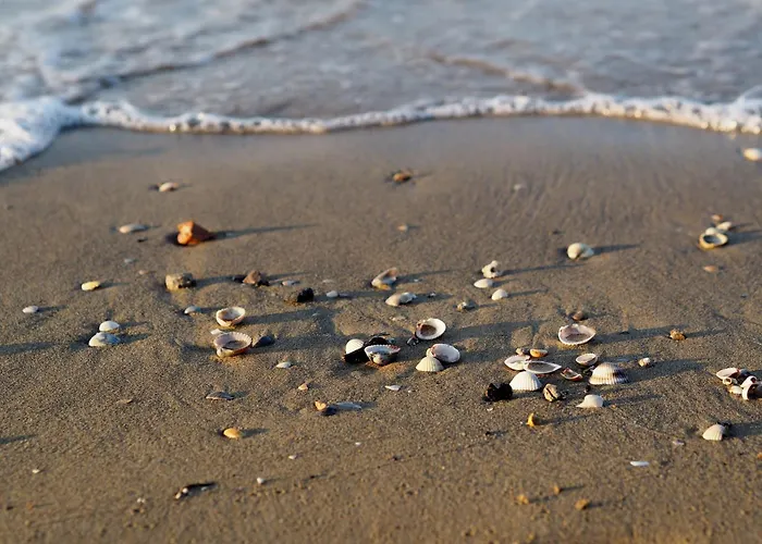 شقة Relaxing Flat In A Modern - Beahost بيبيوني